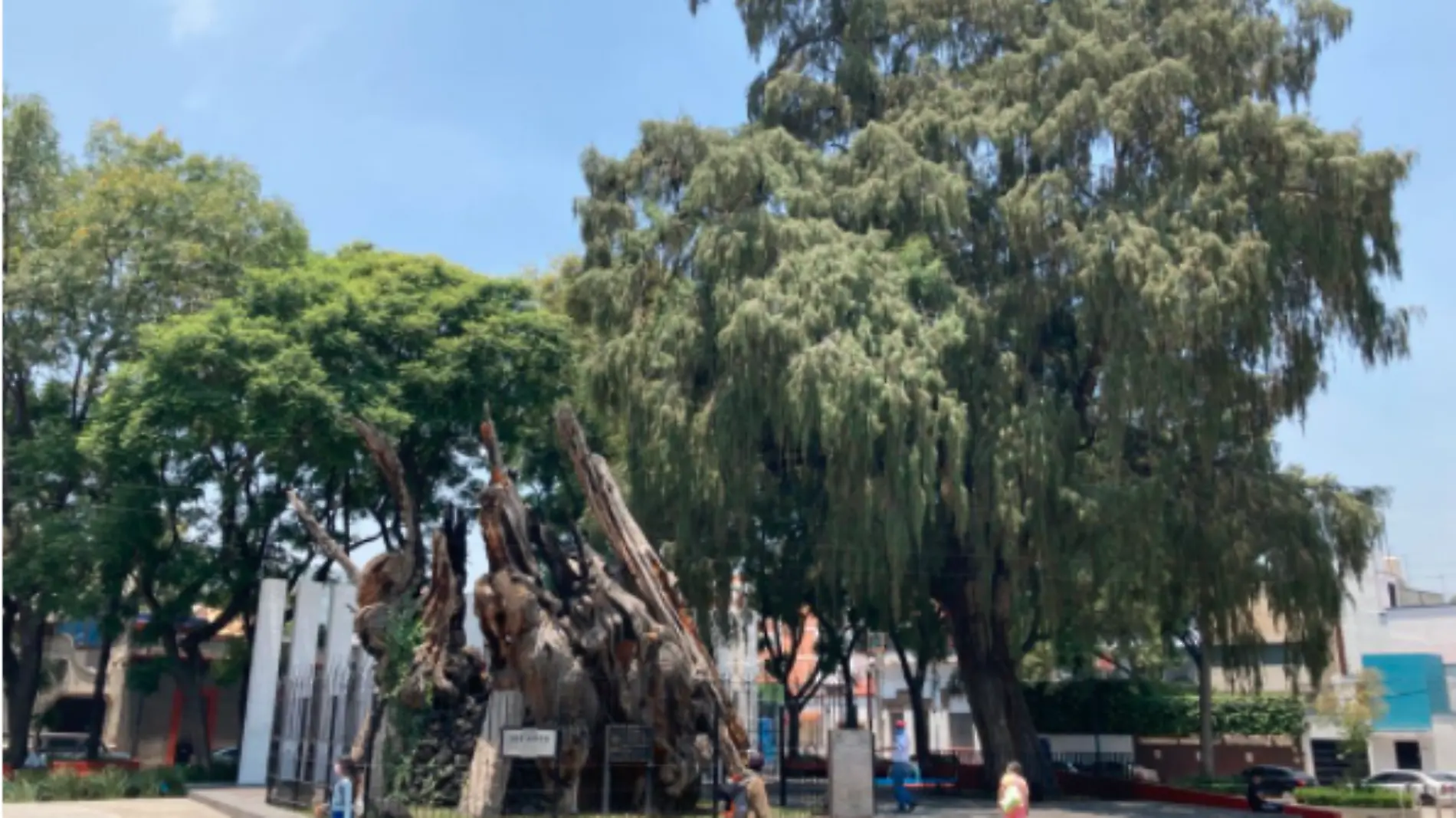 Árbol de la Noche Triste cambia a Plaza de la Noche Victoriosa